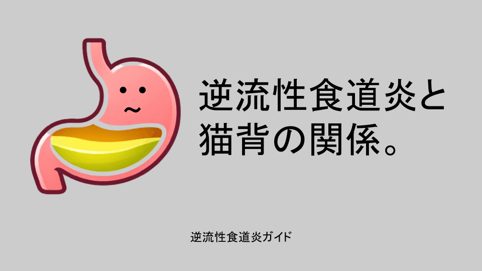 逆流性食道炎と猫背の関係。