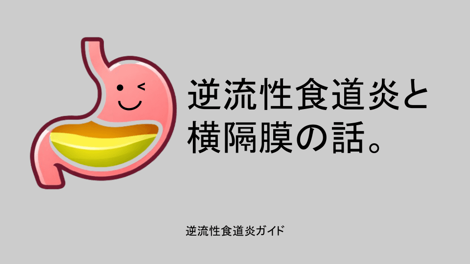 逆流性食道炎と横隔膜の話。